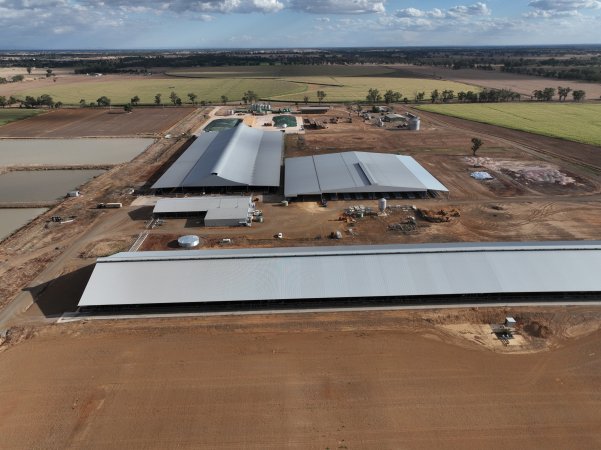 Drone flyover - AFMH Coomboona (breeding)
