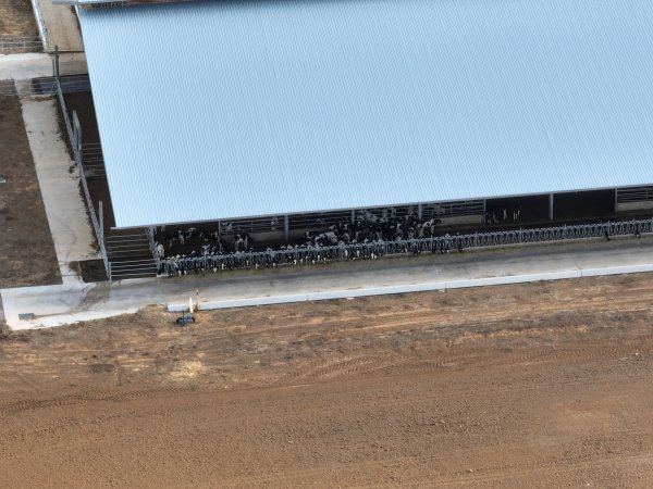 Drone flyover - AFMH Coomboona (breeding)