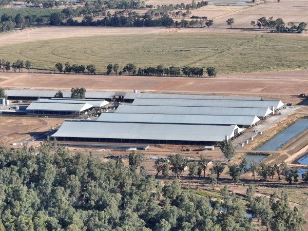 Drone Flyover - AFMH Coomboona (milking)