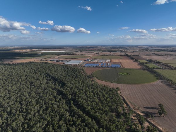 Drone Flyover - AFMH Coomboona (milking)