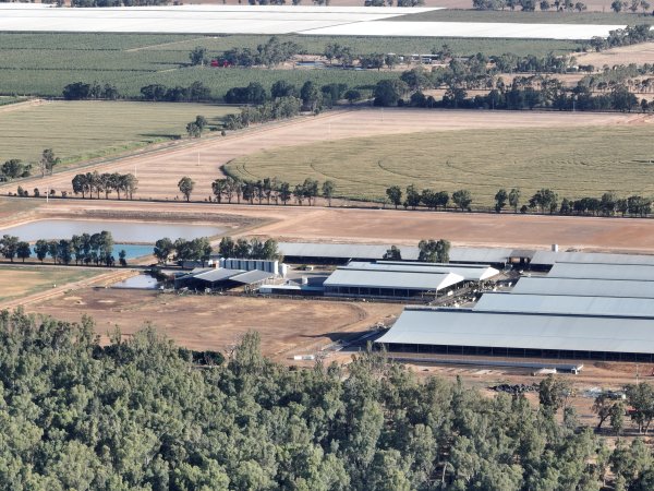 Drone Flyover - AFMH Coomboona (milking)