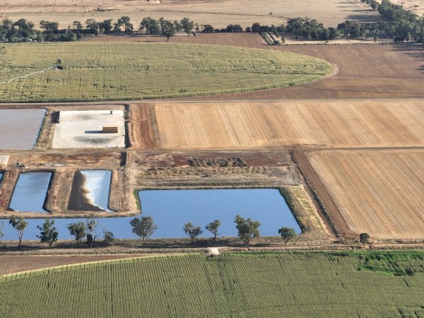 Drone Flyover - AFMH Coomboona (milking)