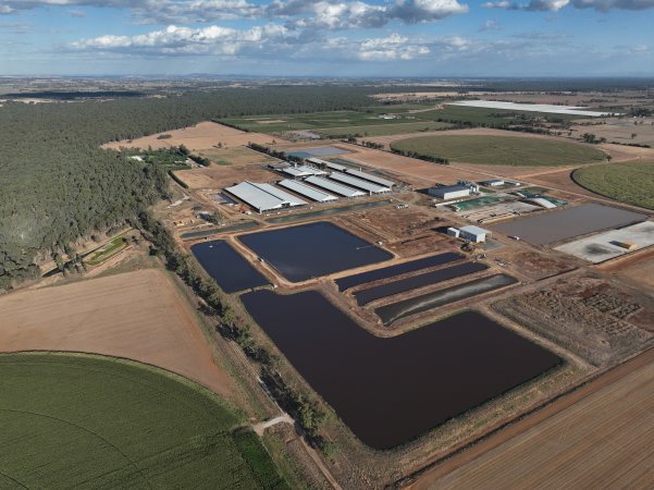 Drone Flyover - AFMH Coomboona (milking)
