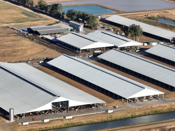 Drone Flyover - AFMH Coomboona (milking)