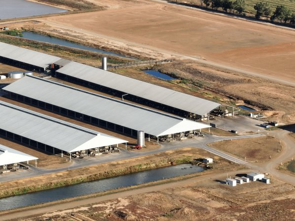 Drone Flyover - AFMH Coomboona (milking)
