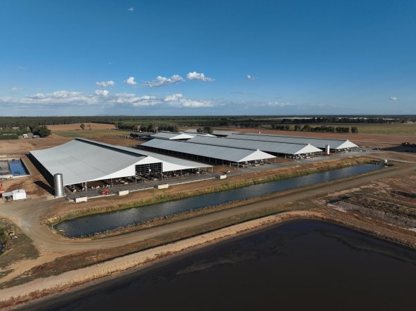 Drone Flyover - AFMH Coomboona (milking)