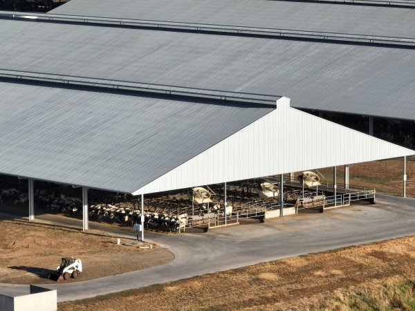 Drone Flyover - AFMH Coomboona (milking)