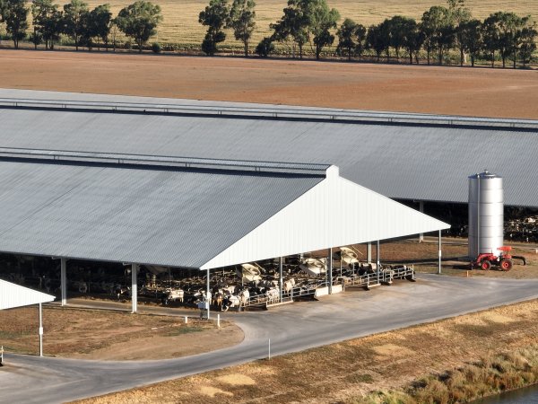 Drone Flyover - AFMH Coomboona (milking)