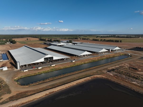 Drone Flyover - AFMH Coomboona (milking)