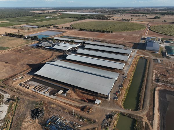 Drone Flyover - AFMH Coomboona (milking)