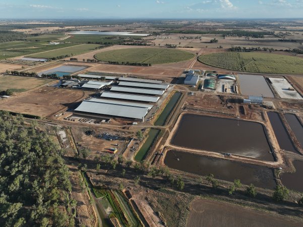 Drone Flyover - AFMH Coomboona (milking)