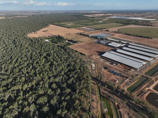 Drone Flyover - AFMH Coomboona (milking)