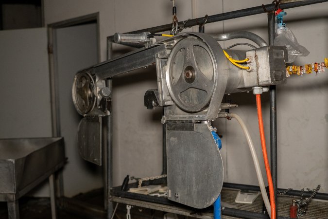 Equipment inside slaughterhouse kill room