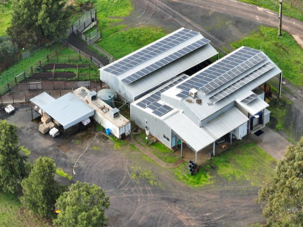 Drone flyover of slaughterhouse