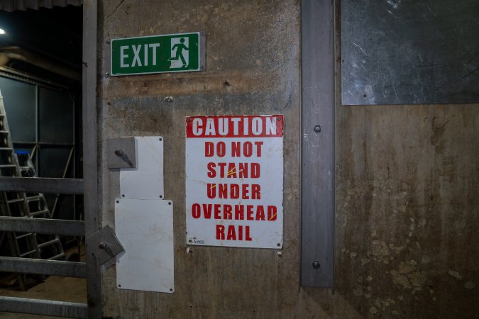 Cattle kill room