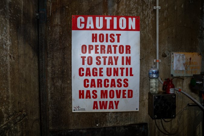 Cattle kill room