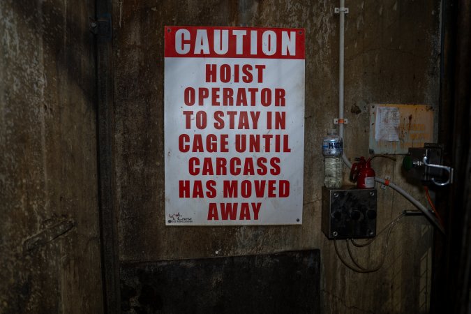 Cattle kill room