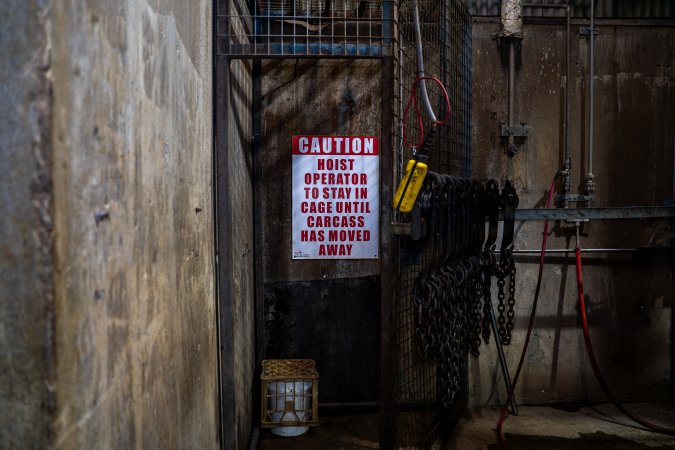 Cattle kill room