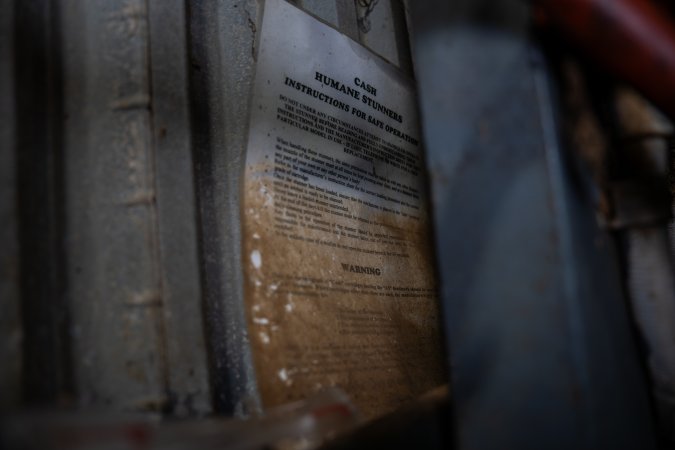 Cattle kill room