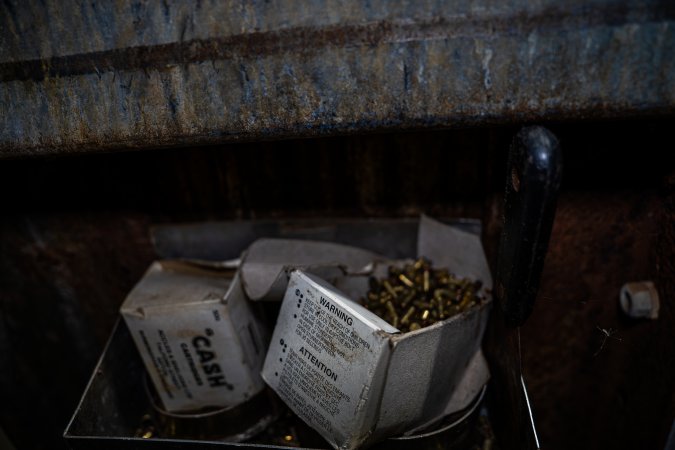 Cattle kill room