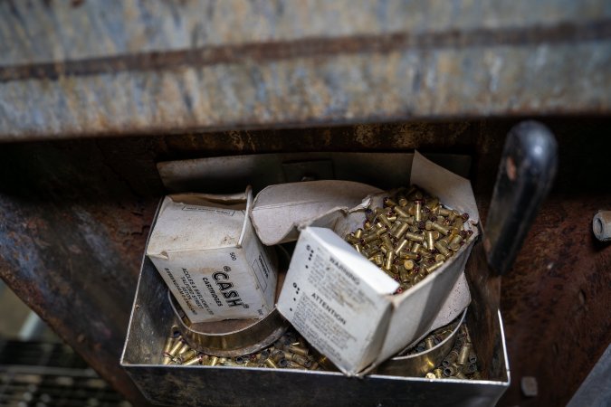 Cattle kill room