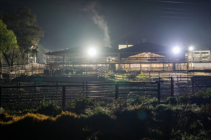 Slaughterhouse exterior