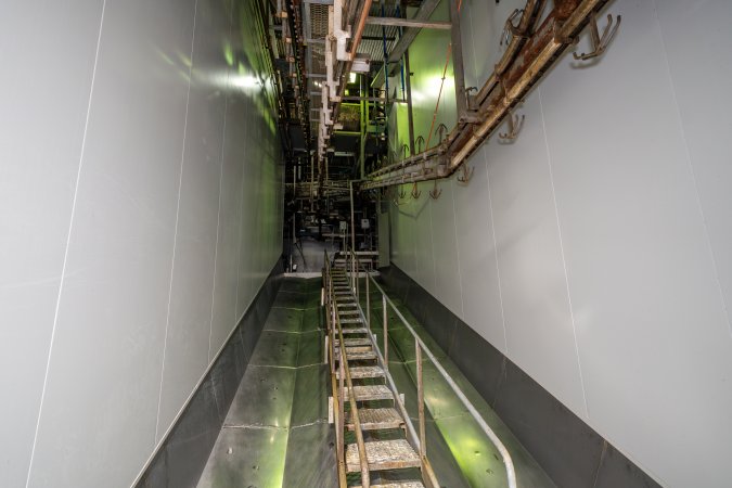 Shackle line leading to further processing