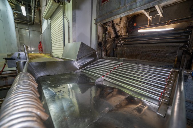 Pig gas chamber and tip-out bench.