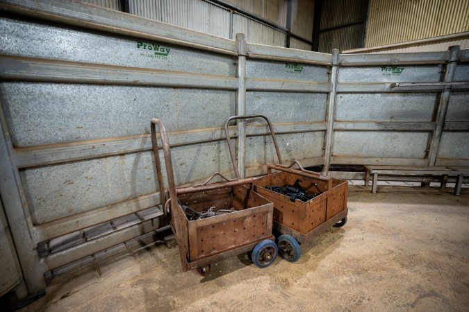 Carts of shackles near cow race
