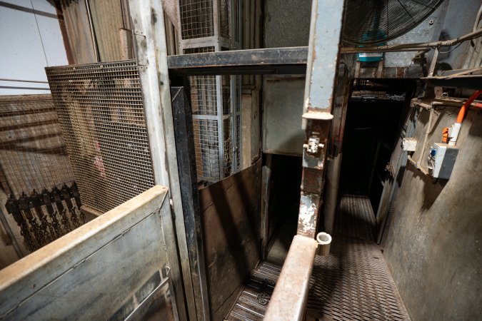 Entrance to cow knockbox