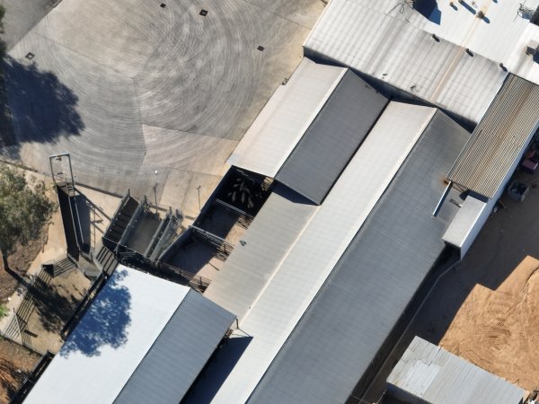 Drone flyover of slaughterhouse