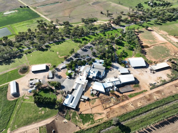 Drone flyover of slaughterhouse