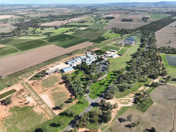 Drone flyover of slaughterhouse