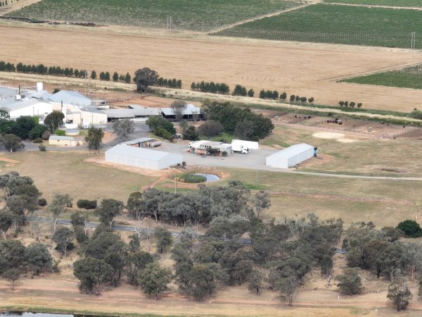 Drone flyover of slaughterhouse