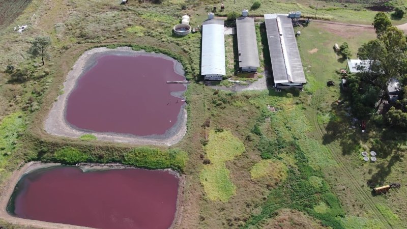 D J & H L Reid Piggery