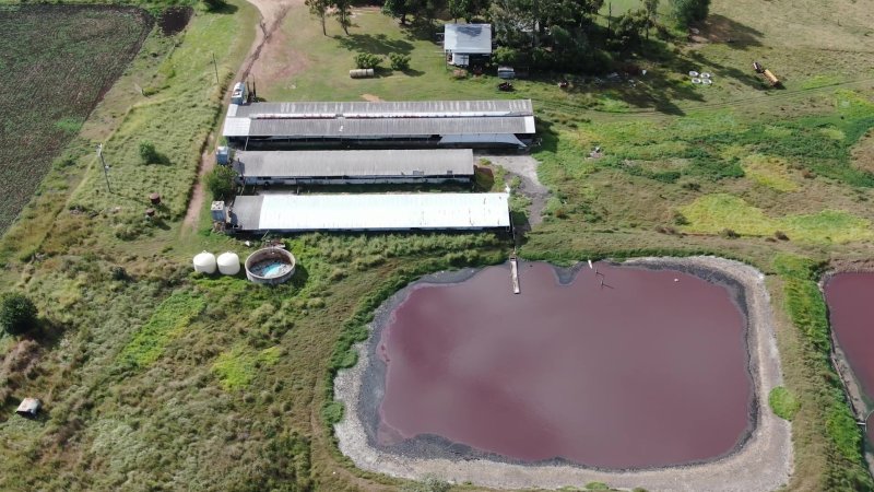D J & H L Reid Piggery