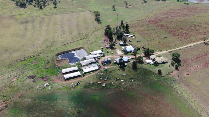 Rosenberger Piggery