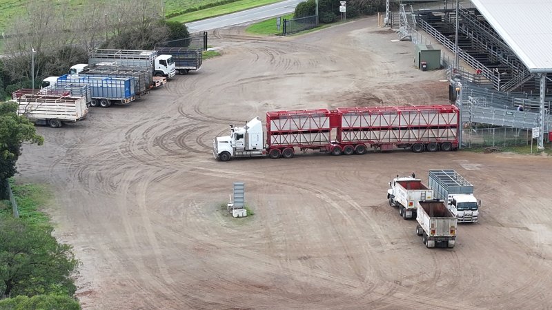 Southern Regional Livestock Exchange