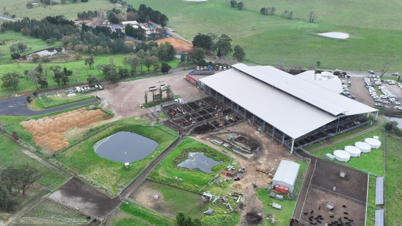 Southern Regional Livestock Exchange