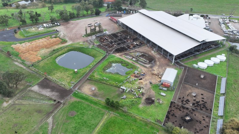 Southern Regional Livestock Exchange