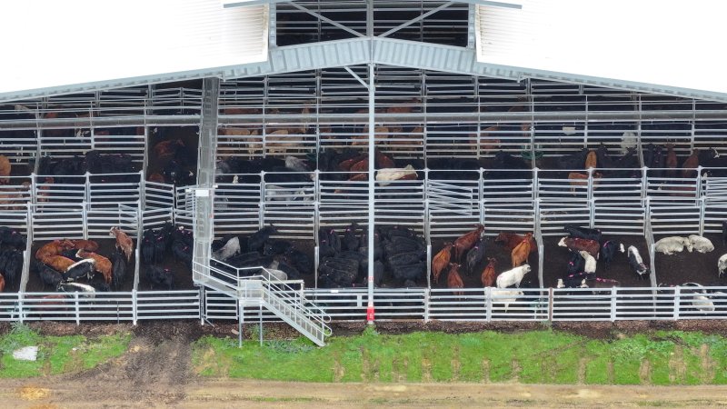 Southern Regional Livestock Exchange