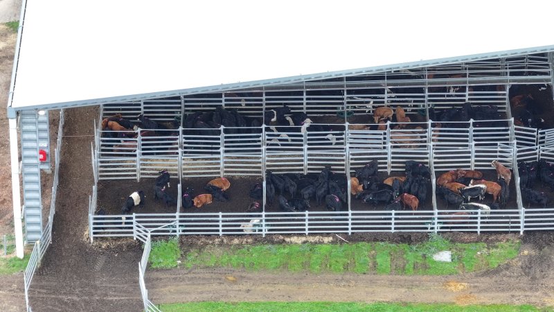 Southern Regional Livestock Exchange