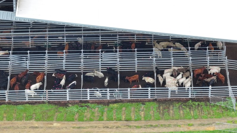 Southern Regional Livestock Exchange