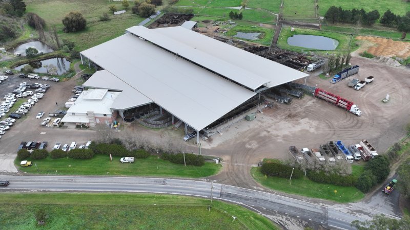 Southern Regional Livestock Exchange