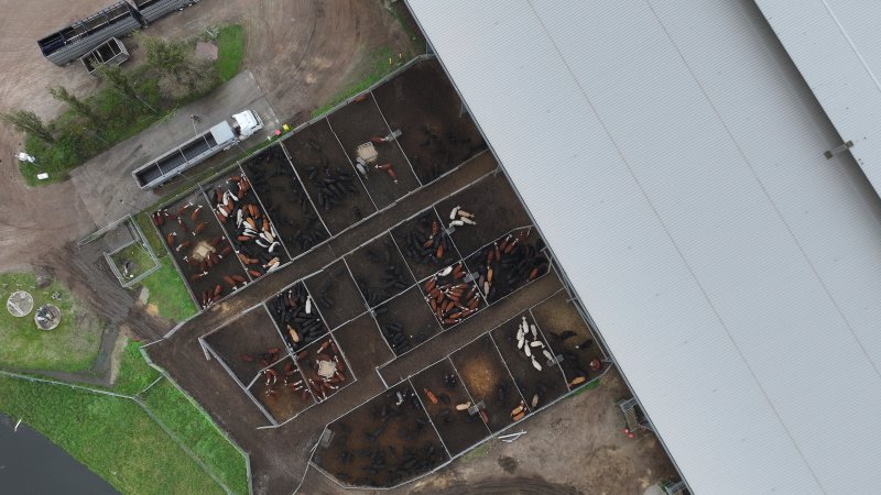 Southern Regional Livestock Exchange