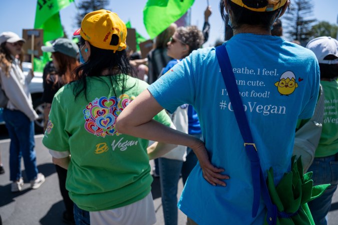 Animal Liberation March 2025