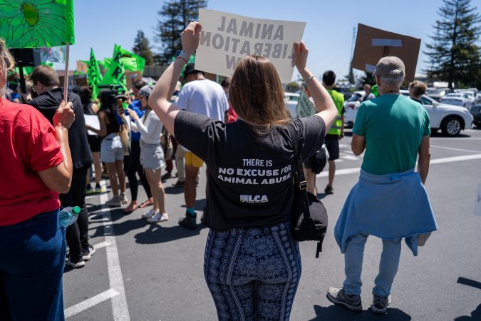 Animal Liberation March 2025