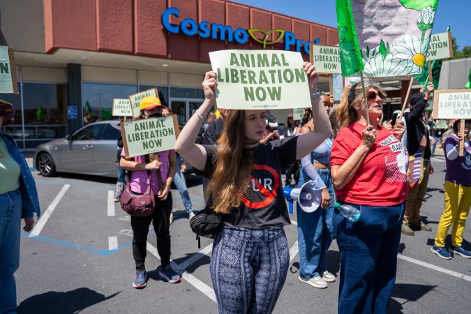 Animal Liberation March 2025
