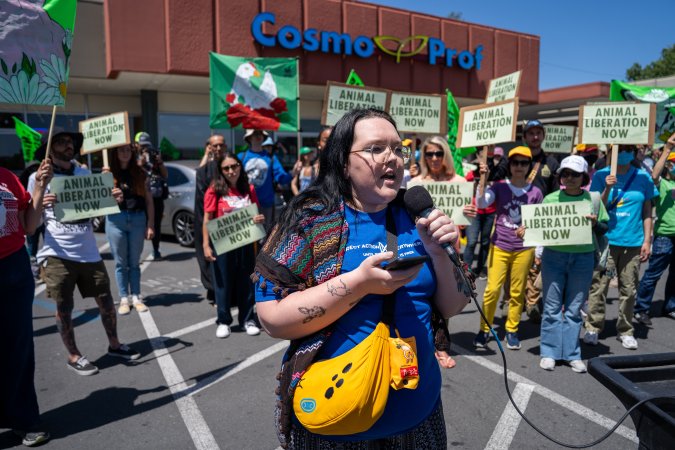 Animal Liberation March 2025