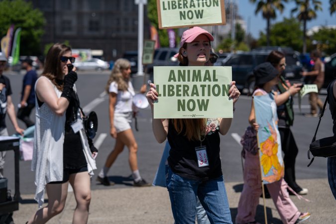 Animal Liberation March 2025